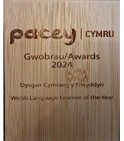 Welshlanguagelearneroftheyear